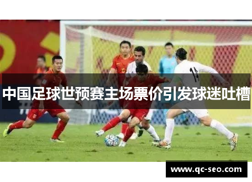 中国足球世预赛主场票价引发球迷吐槽
